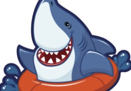 食品原料小百科：硫酸軟骨素可以用在什么地方？